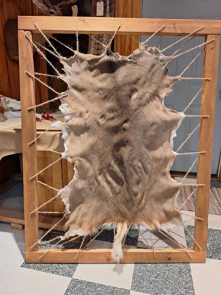 deer pelt
